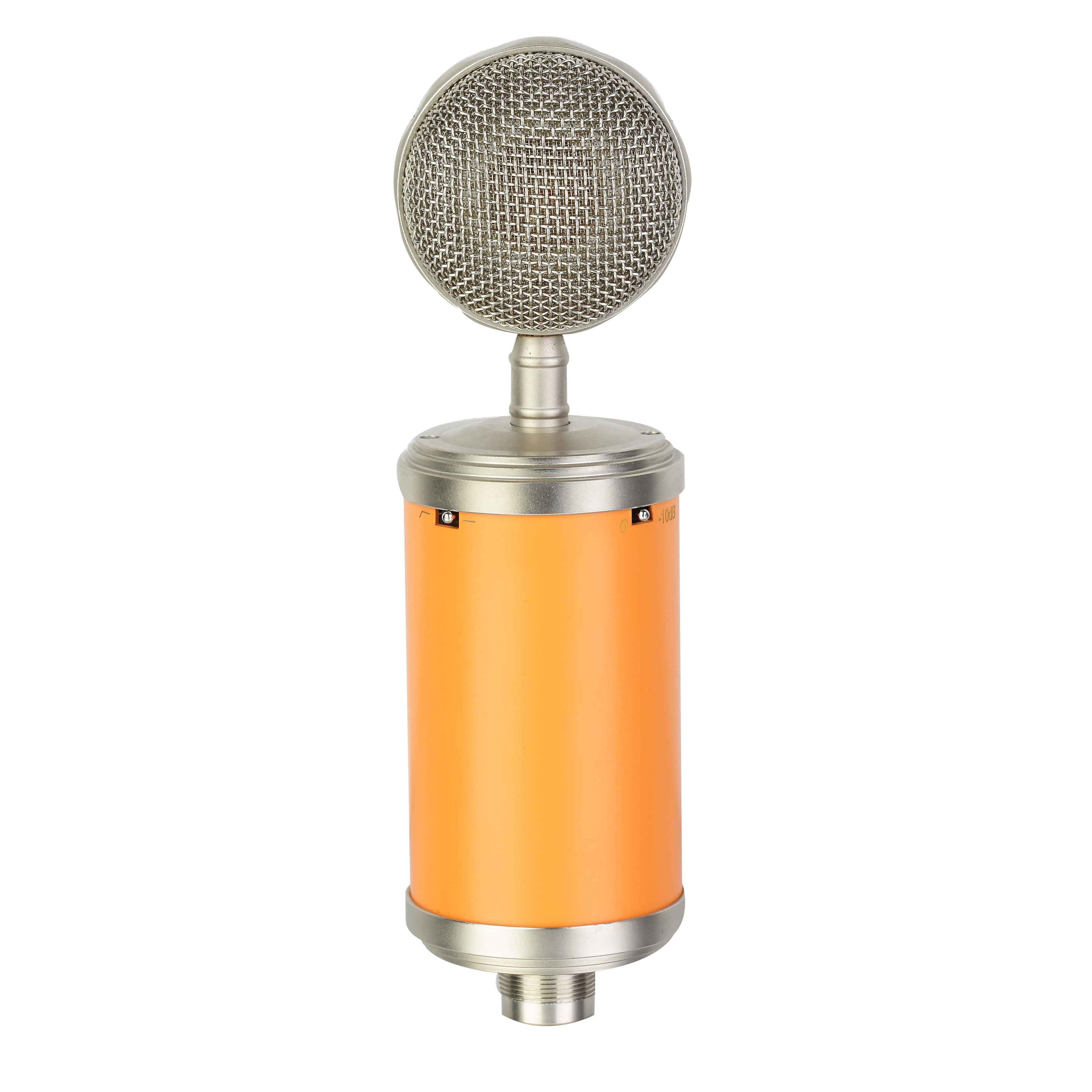 TCM002 Micrófono de condensador de tubo profesional