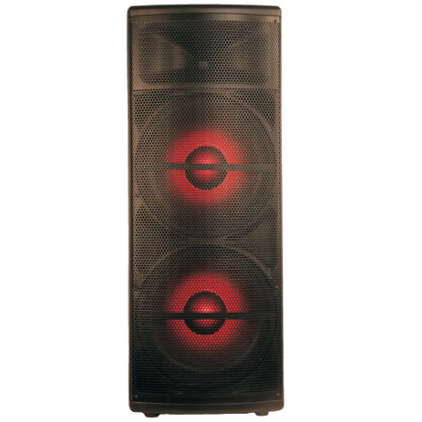 PS215C Caja de altavoz de plástico